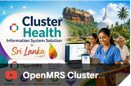 Revolutionizing Healthcare Delivery: A Success Story of Digital Transformation in Sri Lanka’s District Health Clusters